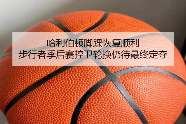 哈利伯顿脚踝恢复顺利 步行者季后赛控卫轮换仍待最终定夺